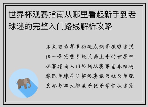 世界杯观赛指南从哪里看起新手到老球迷的完整入门路线解析攻略